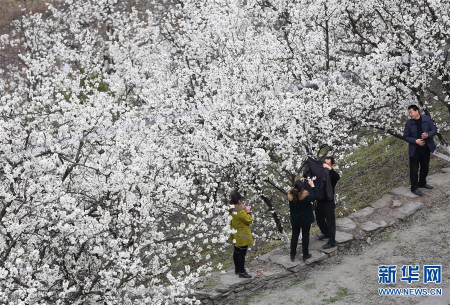 (���)(1)���ա�ѩ���� ���һ��_