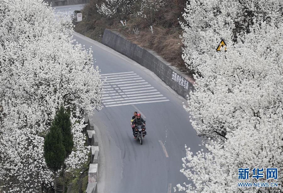 (���)(2)���ա�ѩ���� ���һ��_