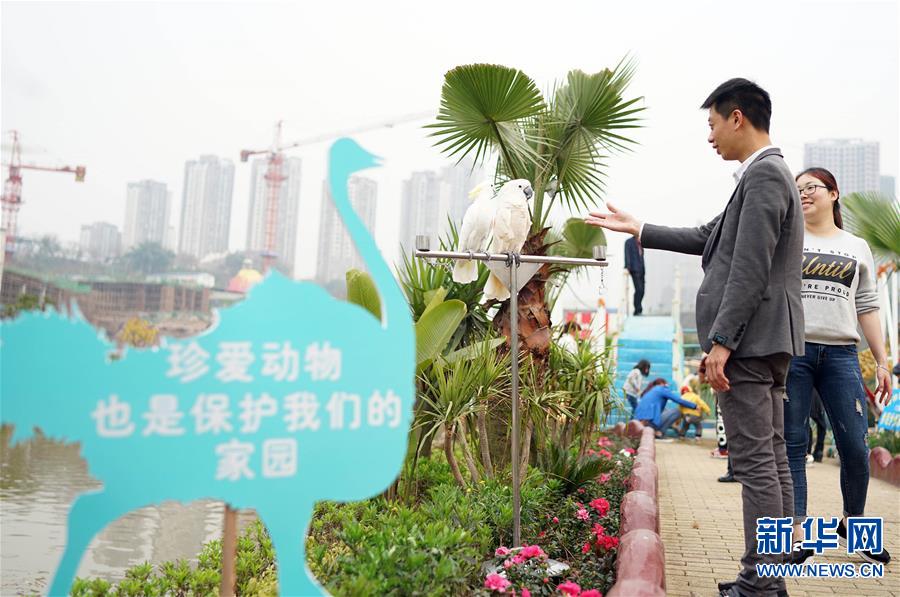 (���(b��o))(2)�c��(d��ng)���H�ܽ��|