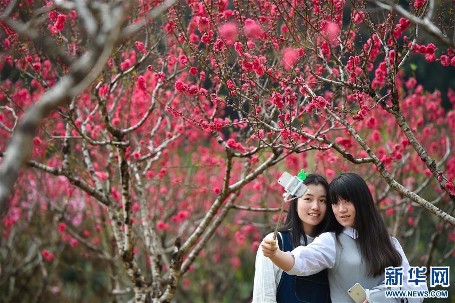 (���(b��o))(1)��ů�һ��_