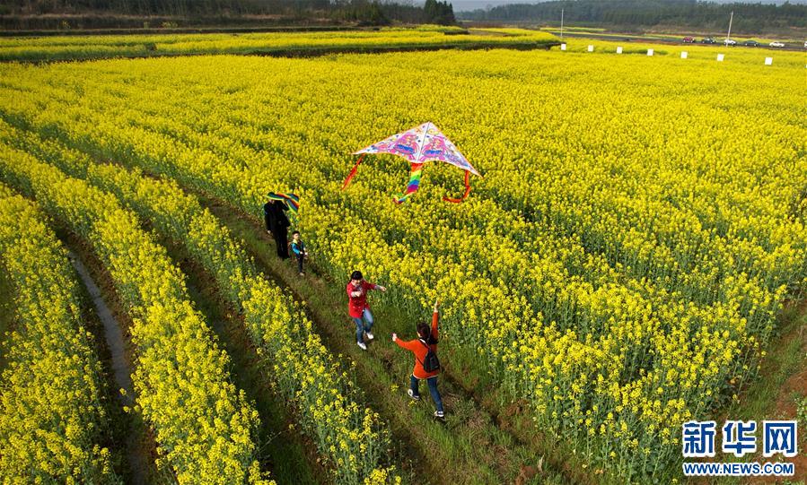 (�w������(zhu��n)�})(1)���¶�����?zh��)��^�� ��(d��ng)һ��(d��ng)�����^