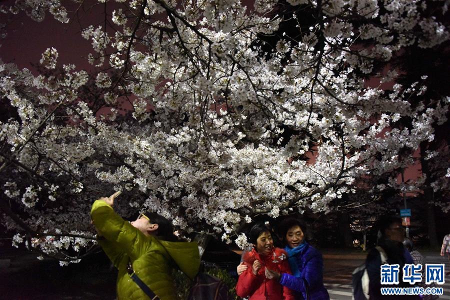 (���)(1)���ҹ�p�ѻ�