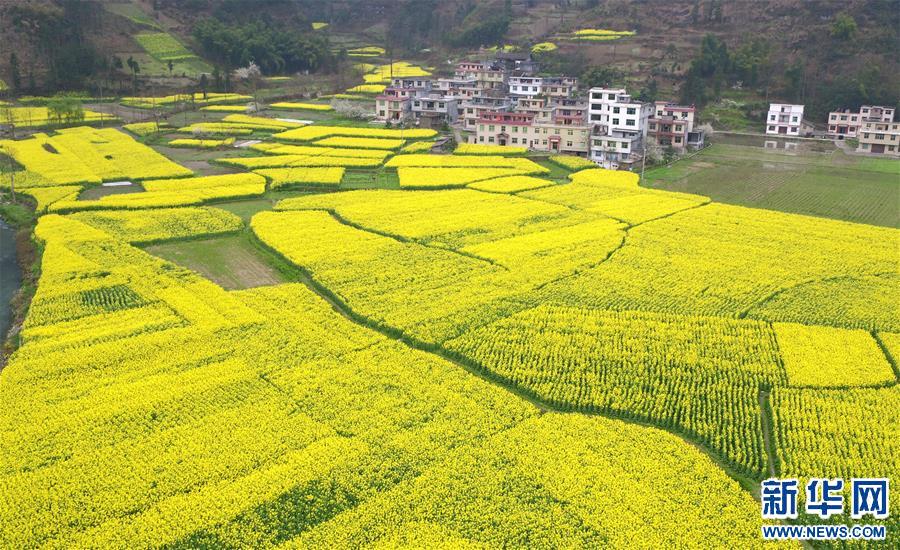 #(���B(t��i))(4)�Ͳ˻��_�M�۴�