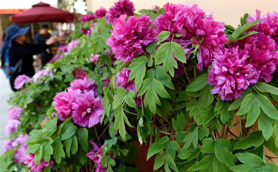 (���)(2)���ϳ���:��ů���_���ˁ�