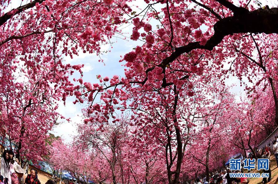 (���)(1)�������Aͨ�ѳ���������