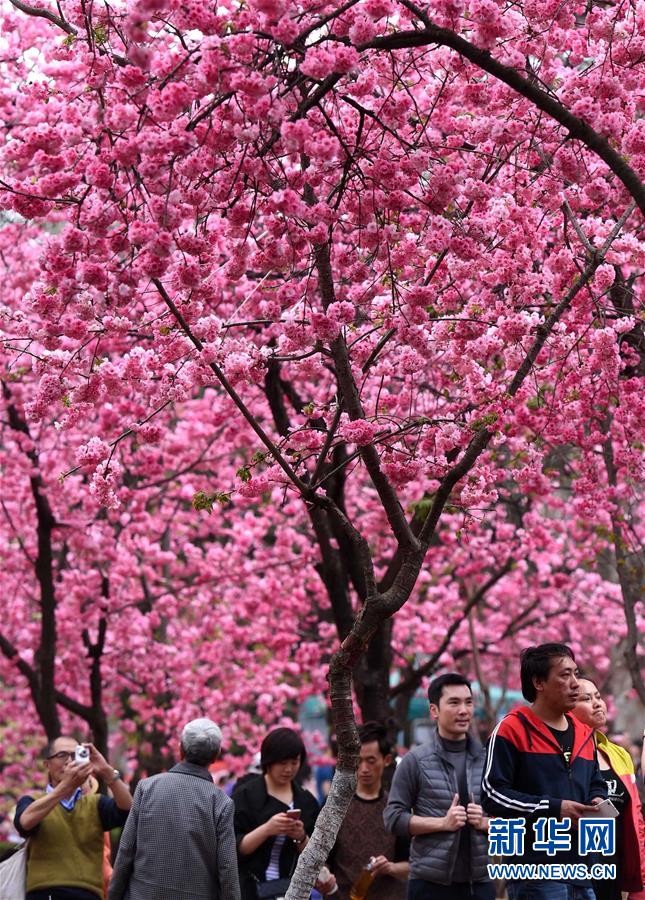 (���)(3)�������Aͨ�ѳ���������