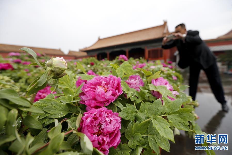 (���)(2)�f��ĵ���ʌm�_չ