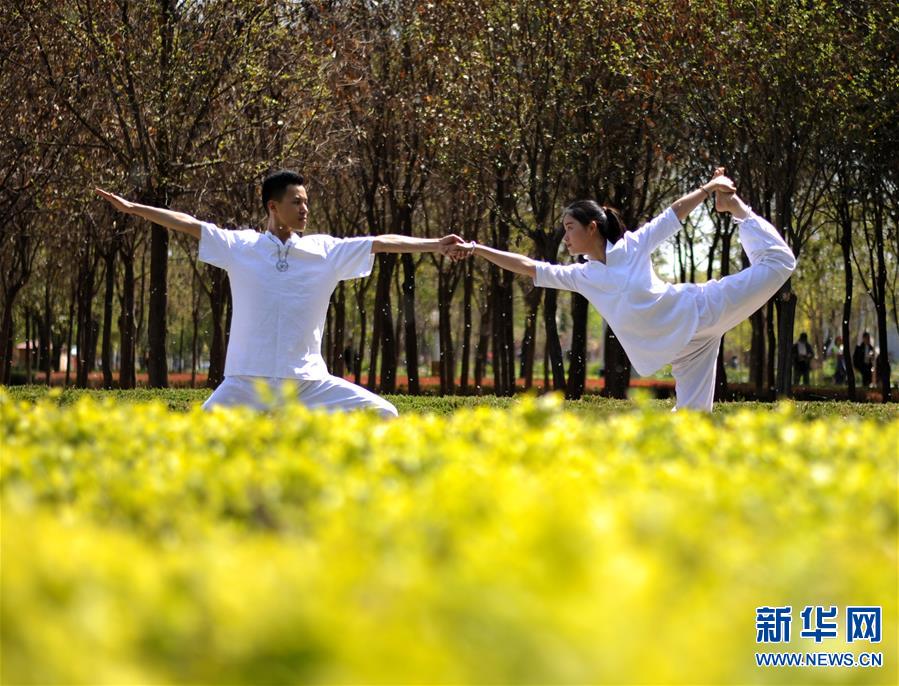 #(���)(2)�����٤������