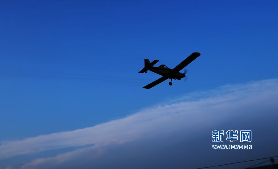 ����ƽ�ɽ:�w���o(h��)ɭ��