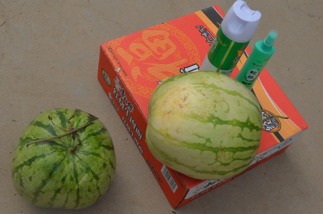 ���ѱ�����  �����l(xi��ng)�塱  ���S�Ļ�&�Ӵ�־Ը�߹����ؚ�Є�(d��ng)