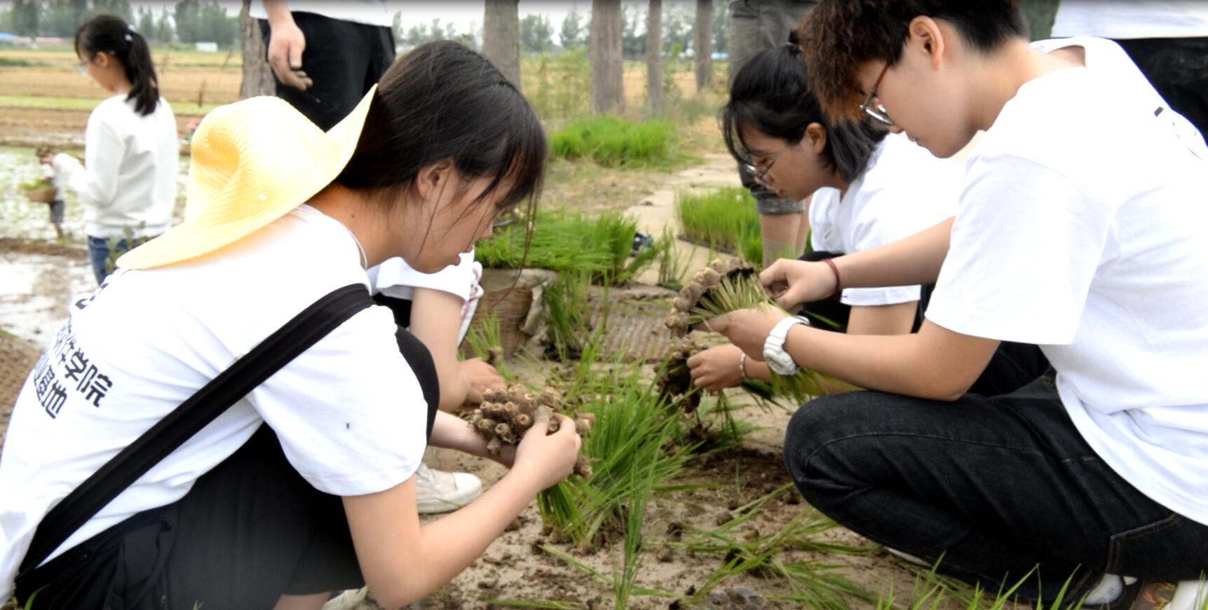 ���ѱ�����  �����l(xi��ng)�塱  ���S�Ļ�&�Ӵ�־Ը�߹����ؚ�Є�(d��ng)