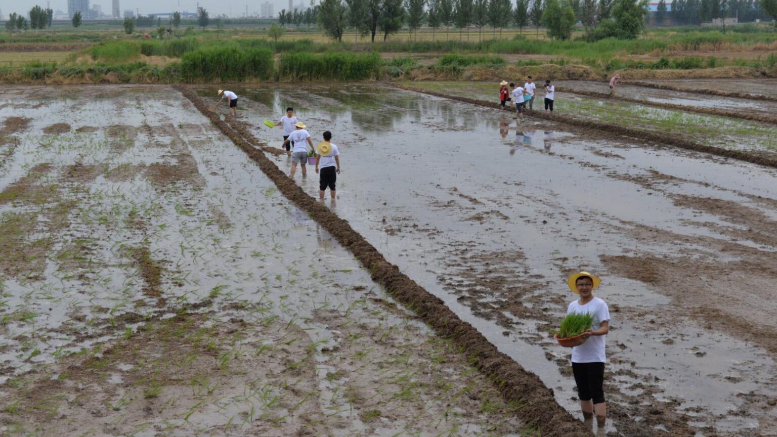 ���ѱ�����  �����l(xi��ng)�塱  ���S�Ļ�&�Ӵ�־Ը�߹����ؚ�Є�(d��ng)