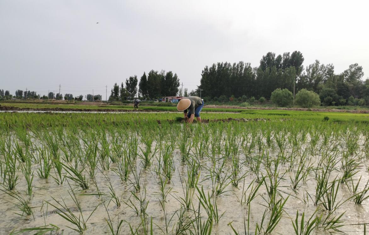 ���ѱ�����  �����l(xi��ng)�塱  ���S�Ļ�&�Ӵ�־Ը�߹����ؚ�Є�(d��ng)