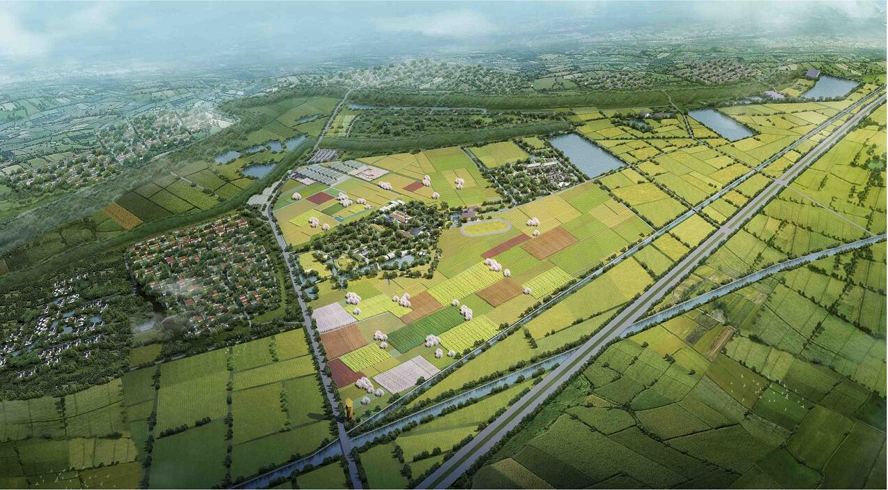 ���ѱ�����  �����l(xi��ng)�塱  ���S�Ļ�&�Ӵ�־Ը�߹����ؚ�Є�(d��ng)