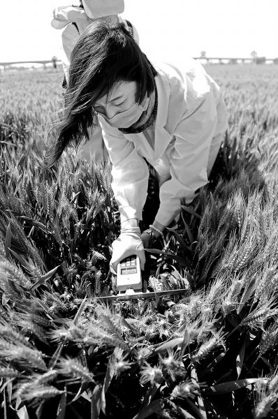 �W(w��ng)�џ��h���ƵZ�^�M�����ꡱ����ԥ��ԥ�� �Q��ȫ��С��