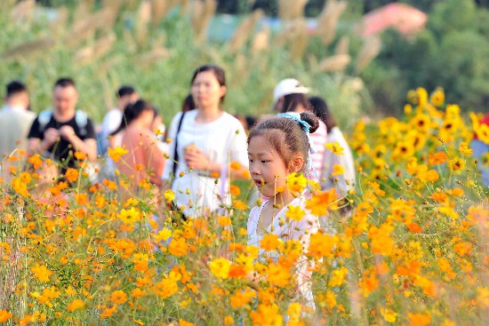 ���A���_�M���S������o��(sh��)����ǰ���p��������ʮ�����p����������DƬ�����Lɳ���ȫý�wӛ�� �R�ı� �z