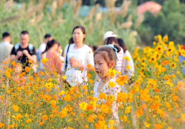 ���A���_�M���S������o��(sh��)����ǰ���p��������(g��)ʮ�����p����������DƬ�����L(zh��ng)ɳ���(b��o)ȫý�wӛ�� �R�ı� �z