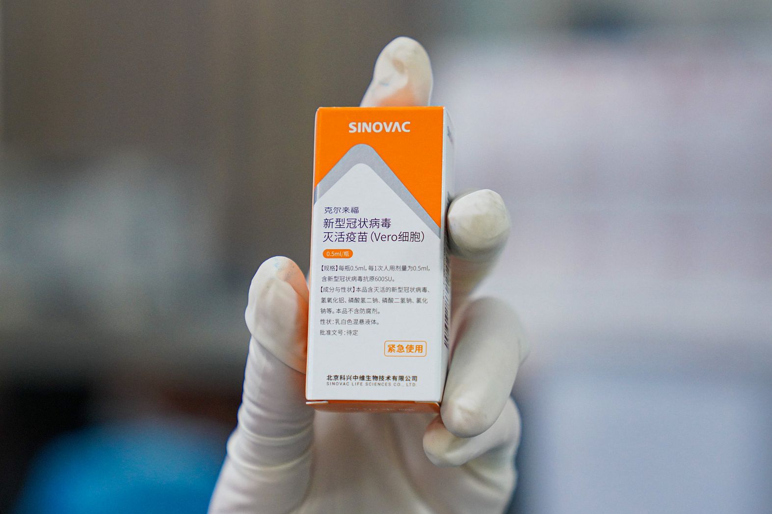 �¹� ����_����.jpg