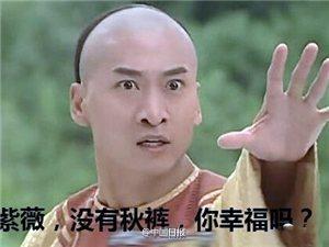 ����W(xu��)���~���㋌���㴩��ѝ ��ѝӢ����ô�f(shu��)