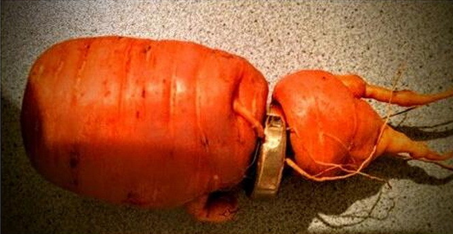 �����zʧ����L�}����