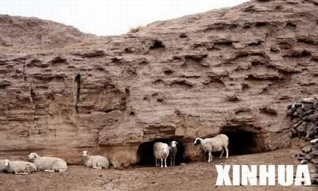 �L(zh��ng)��֮ʹ��ӛ�����е��L(zh��ng)�ǬF(xi��n)�(sh��)�(�M�D)