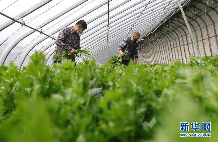 ����(j��ng)��(j��)����1����ꖣ�����������a(ch��n)æ