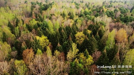 �G���[�d�P�c����ʮ��ɭ������