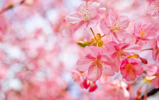 �����������Ʋ�������һ�����