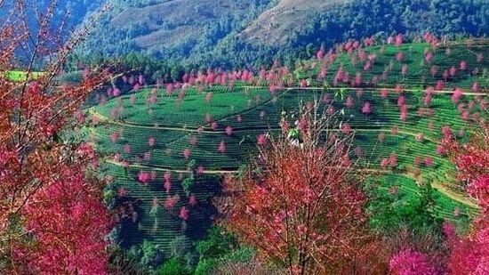 Ԕ��(x��)��B���ںܶ෽�������ϵĴ���������ʿ�ǳ�������ͬ�ӵĚ����ͬ�ӵ�1960�׺��θ߶���ͬ�ӵ���ɽ��ˮ�ĵ�����ͬ���峺�ă�(n��i)ꑺ���ͬ���ۂ���ɽ������ǰ��