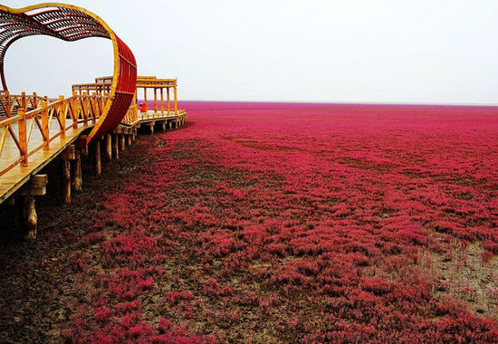 ���ϵ���С�L�� �����������ε���������