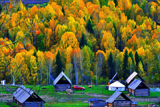 ���ϵ���С�L�� �����������ε���������