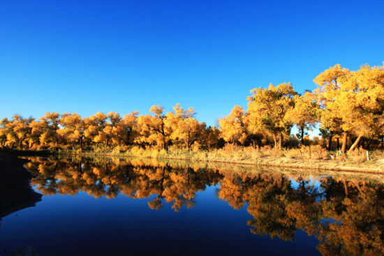 ���ϵ���С�L�� �����������ε������