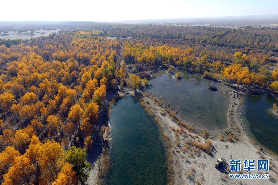 �������Ї�(gu��)����1���͵�����ɳĮ���