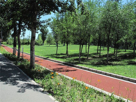 �ڴ󱱾������T�еľG�� �s����