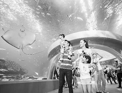 ��ʿ����Ї����}���@��������ͬ�_�l(f��) ������(chu��ng)��