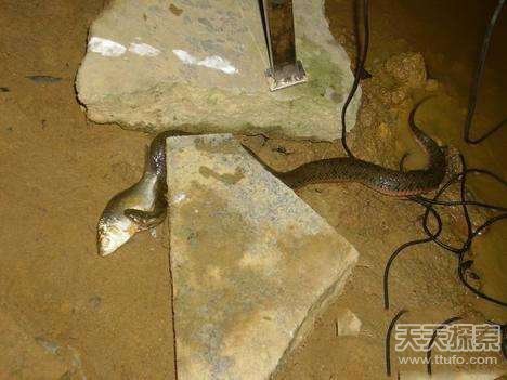 ����ҹ����߅��~ ͻ�l(f��)һĻ׌��������