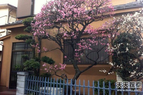 ����˼�h���ձ�׌���(gu��)���@�@��28��(g��)��(x��)�T