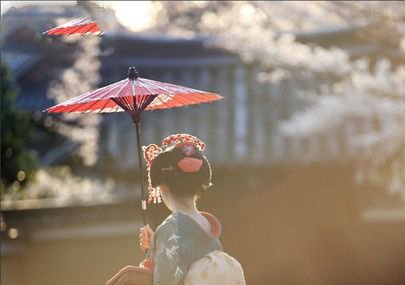 30���D�����˽��挍���ձ����� ̫����