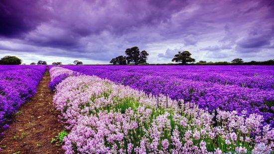 ������������10�󻨺������_��˹��޹�²���ʢ�_