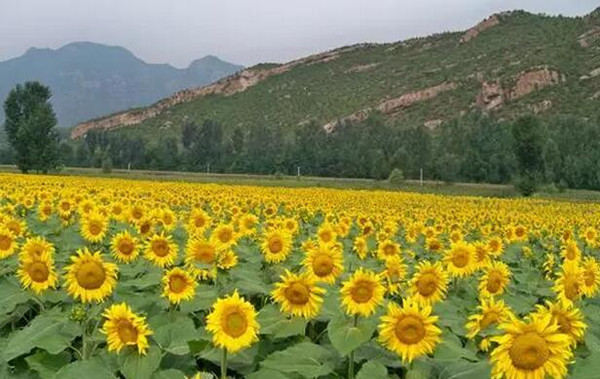 �����h�� ��կ��һ�ӵ�����������ǰ