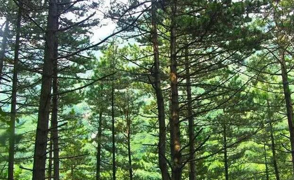 �����h�� ��կ��һ�ӵ�����������ǰ