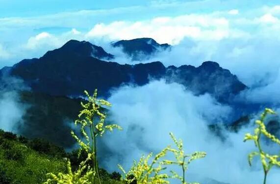 �����h�� ��կ��һ�ӵ�����������ǰ