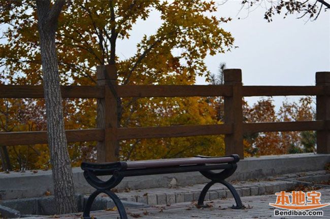 ���쵽���￴�t�~ ���m����ɭ�ֹ��@�H���κ�ȥ̎