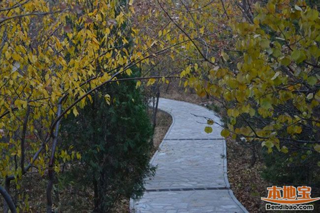 ���쵽���￴�t�~ ���m����ɭ�ֹ��@�H���κ�ȥ̎