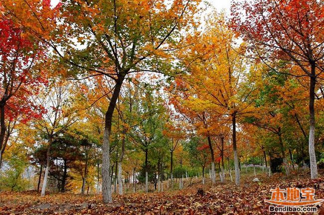 ���쵽���￴�t�~ ���m����ɭ�ֹ��@�H���κ�ȥ̎