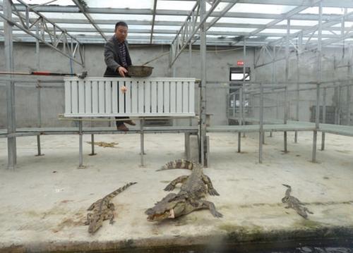 С����l(xi��ng)�k�{�~���}���@�ɾ͡������{�������D��