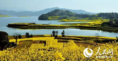 ��Ѩ�Ͳ˻�����