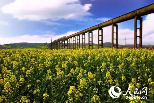 ��Ѩ�Ͳ˻�����