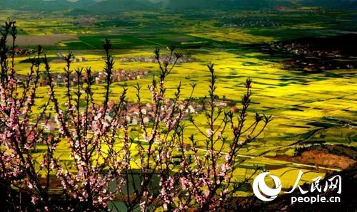 ��Ѩ�Ͳ˻�����