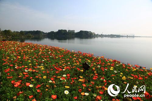 ��������(gu��)������ü֮�����ɫ